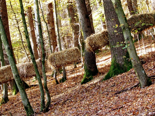 Galoppierende Strohhaufen Galoppierende Strohhaufen