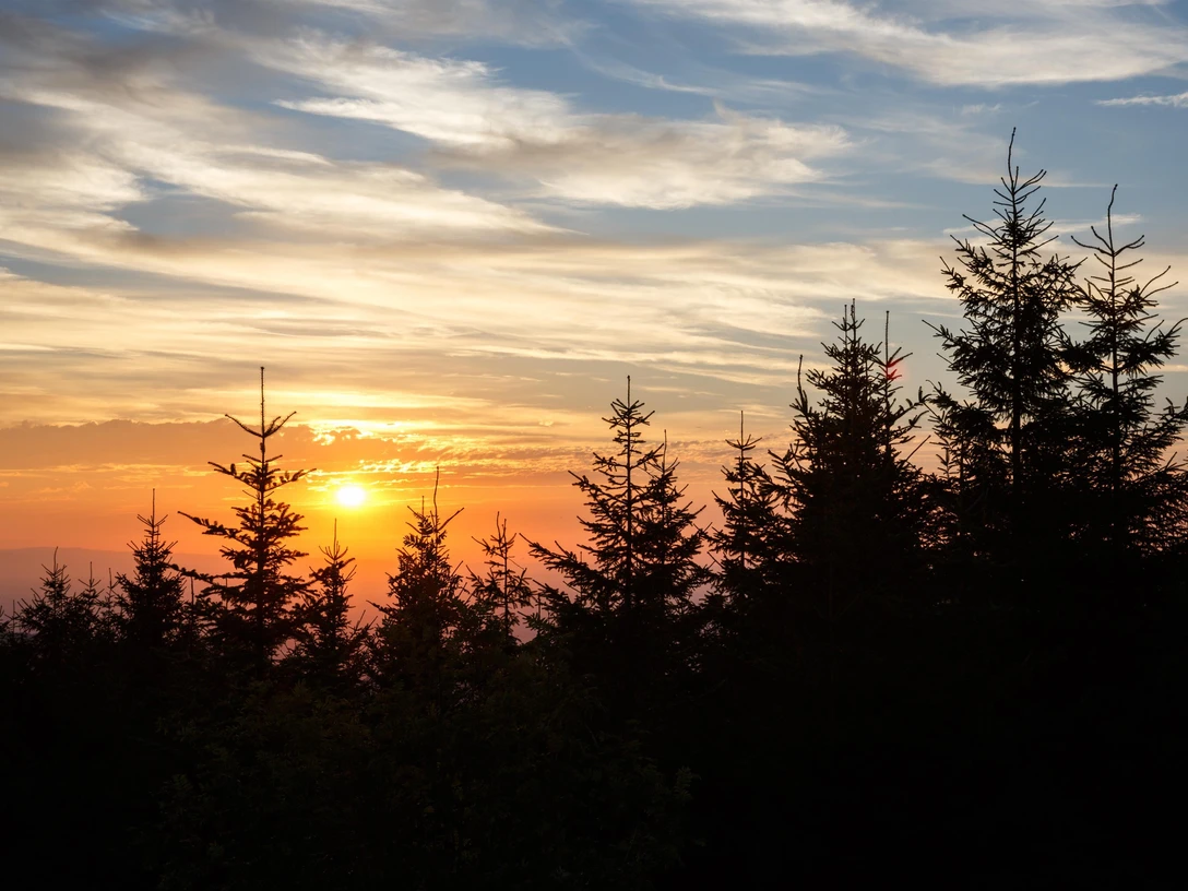 Sonnenuntergang im Schwarzwald