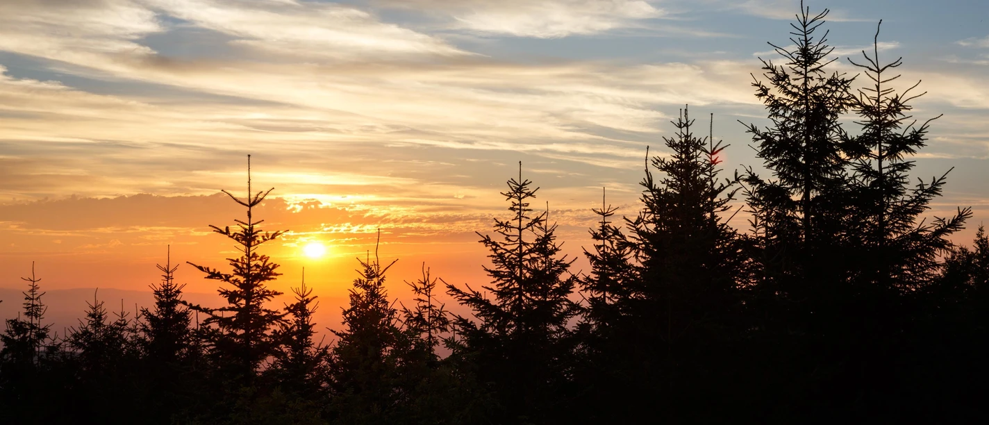 Sonnenuntergang im Schwarzwald