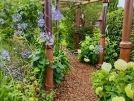 Garten Angelika und Holger Ihler.jpg Blumenweg mit Holzpergola, umrahmt von grünen Sträuchern und violett-weißen Blüten im Garten.