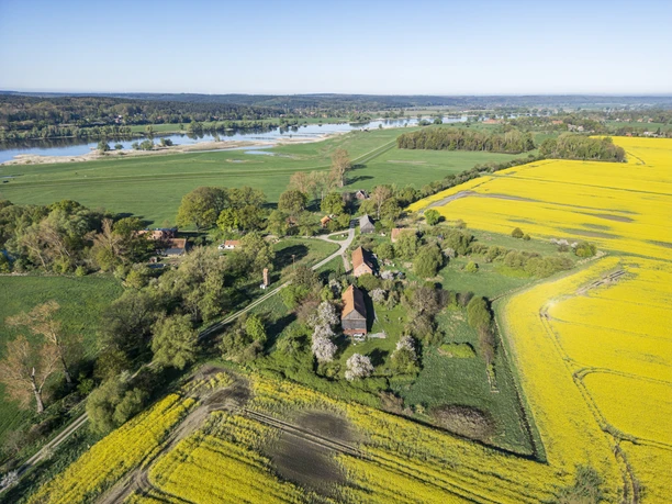 Rape blossom in Groß Kühren Rape blossom in Groß Kühren