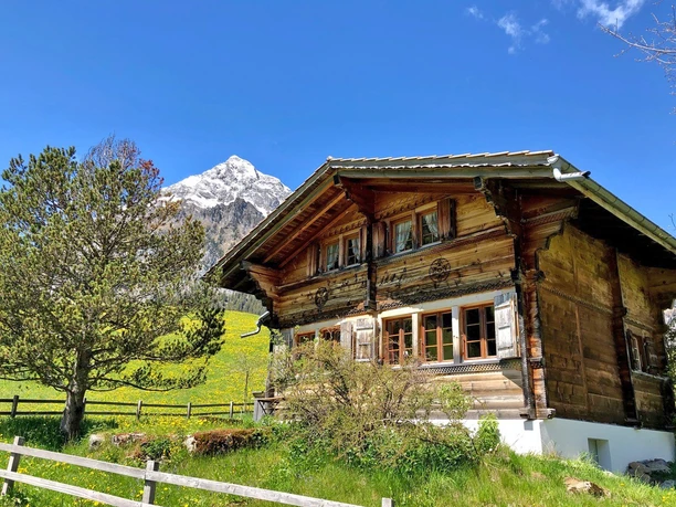 Holzchalet mit grünem Garten