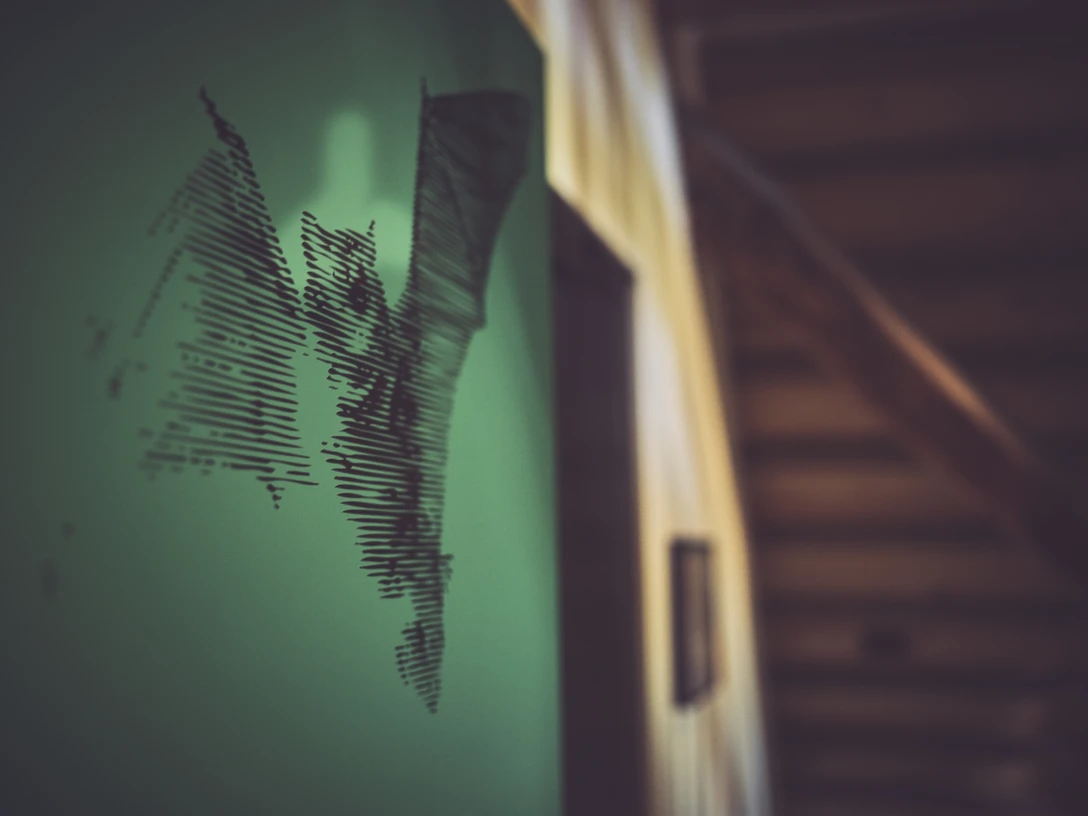 Fledermaus Fledermaus