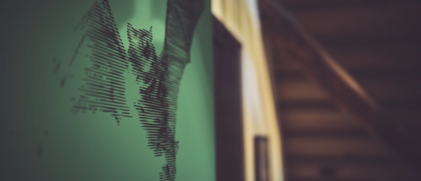 Fledermaus Fledermaus