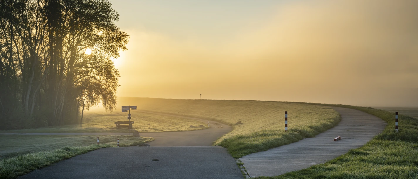 Elberadweg beim Sonnenaufgang