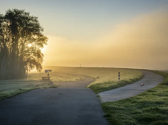 Elberadweg beim Sonnenaufgang