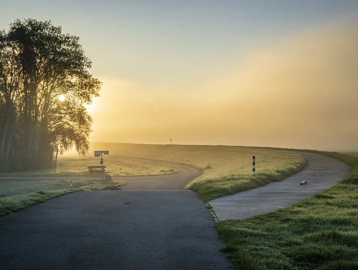 Elberadweg beim Sonnenaufgang