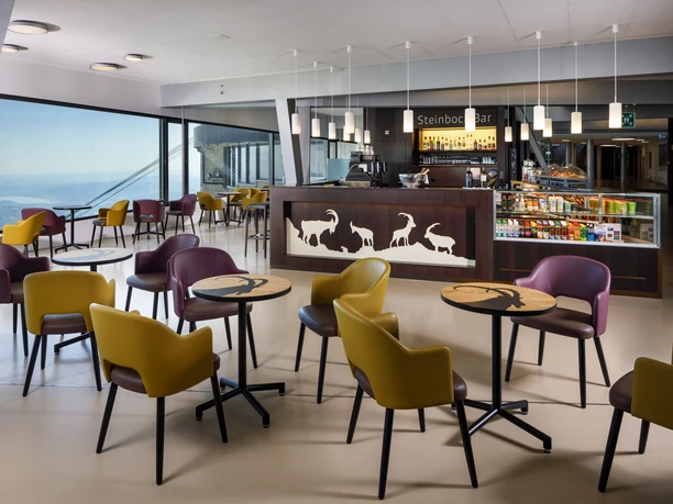 Steinbock Bar Pilatus Kulm