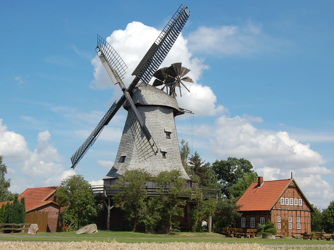 Stadt Petershagen_Meßlingen_Evelyn Hotze_Windmühle_Kornfeld im Sommer_quer.jpg Eine historische Windmühle steht neben einem Backsteinhaus unter einem klaren blauen Sommerhimmel.
