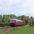 Kleinbahntakt-GDT-0518-im-Bleckeder-Moor-K.-Schulmann.jpeg Roter historischer Triebwagen GDT 0518 fährt durch grüne Wiesenlandschaft im Bleckeder Moor.
