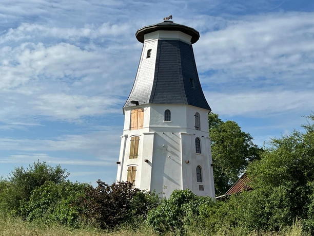 A historic windmill with a white tower and a dark gray roof, nestled in a green, rural setting.
