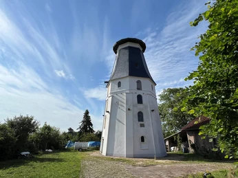 Weißer Turm einer historischen Windmühle vor einem blauen Himmel mit Wolken und umgeben von Bäumen.