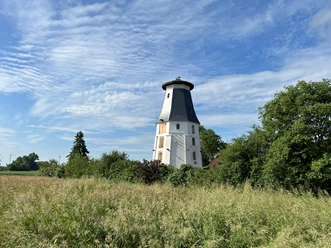 Im Hintergrund blauer Himmel, eine historische weiße Windmühle umgeben von hohen Gräsern und Bäumen.