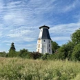 Stühr Mühle Martfeld Im Hintergrund blauer Himmel, eine historische weiße Windmühle umgeben von hohen Gräsern und Bäumen.