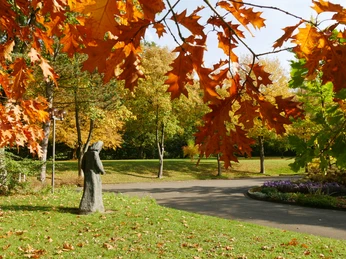 Herbstliche Parklandschaft mit einer Skulptur, buntem Laub und gepflegtem Rasen in Willebadessen.