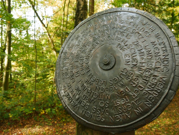 Metallscheibe mit eingraviertem Text im Wald, umgeben von Herbstblättern und Bäumen in Willebadessen.
