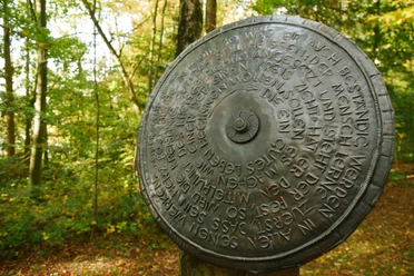 Wort-Weg HEGGE Metallscheibe mit eingraviertem Text im Wald, umgeben von Herbstblättern und Bäumen in Willebadessen.