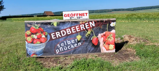 ErdbeerenPlumeyer.jpg