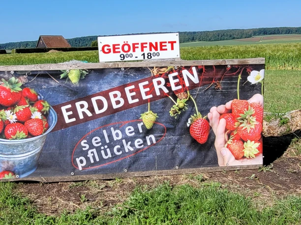 ErdbeerenPlumeyer.jpg
