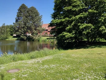 Dorfteich Stederdorf (3).jpg