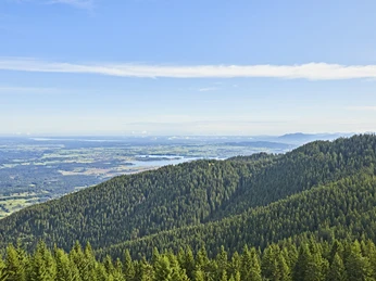 Hörnle Barfuß _Gert Krautbauer W5A0063.jpg