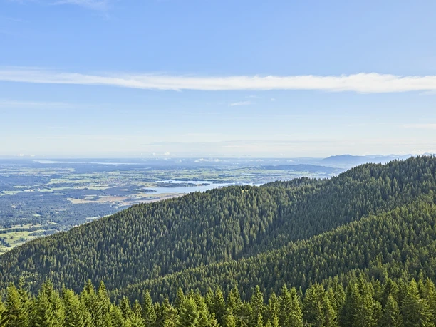 Hörnle Barfuß _Gert Krautbauer W5A0063.jpg