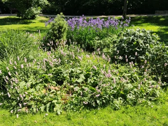 Dorfpark Vöhrum (2).jpg