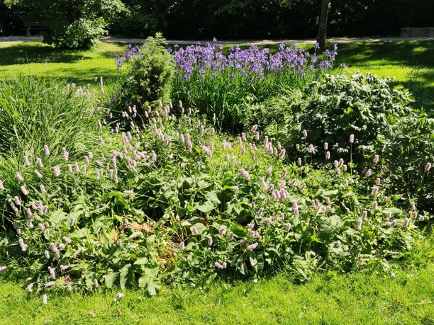 Dorfpark Vöhrum (2).jpg