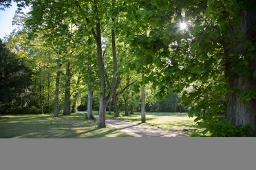 Kurpark Bad Waldliesborn