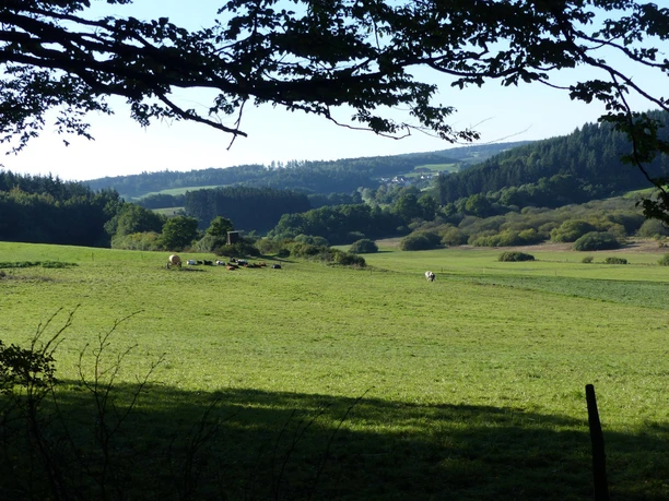 Aussicht Vulkaneifel