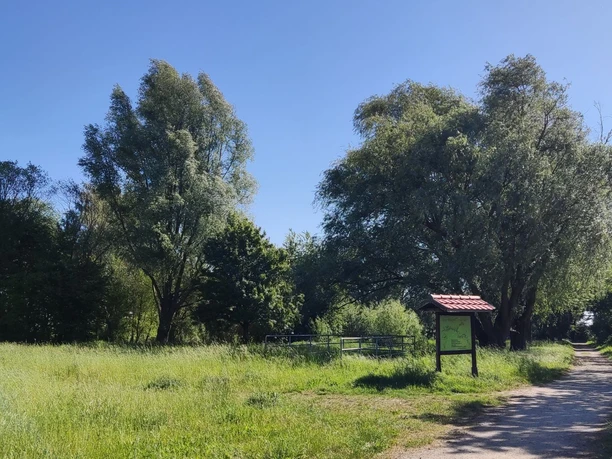 Grünzug nördl. UP2 (5).jpg