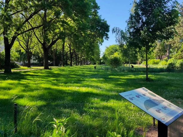 Arzneimittelgarten (3).jpg