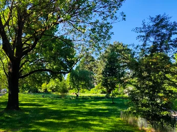 Arzneimittelgarten (4).jpg