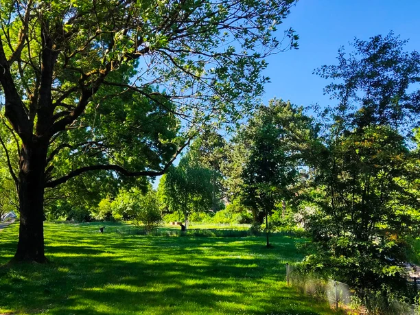 Arzneimittelgarten (4).jpg