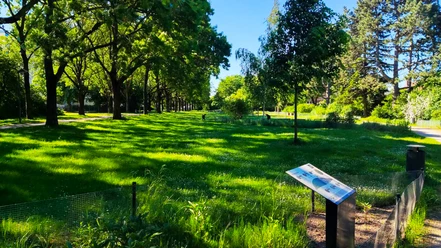 Arzneimittelgarten.jpg