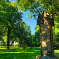 Alter Friedhof (3).jpg
