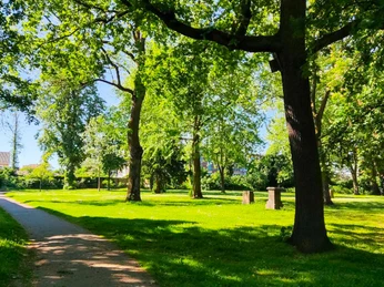 Alter Friedhof (4).jpg