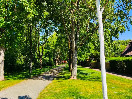 Bürgermeister-Meyer-Weg (3).jpg