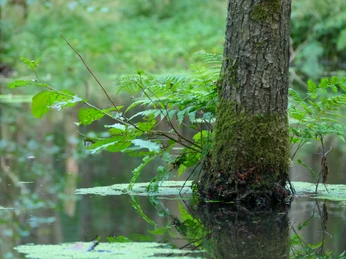 Soehlbruch 3 Soehlbruch 3