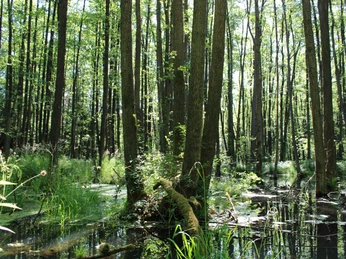 Soehlbruch 2 Soehlbruch 2