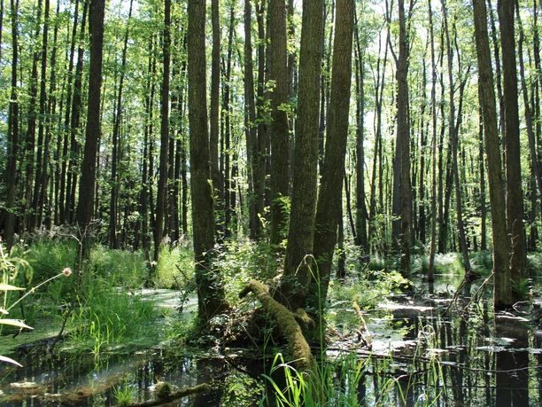 Soehlbruch 2 Soehlbruch 2