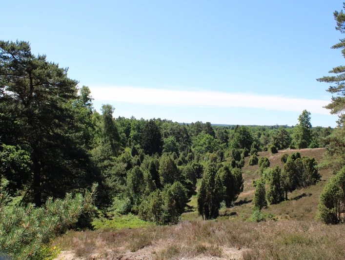 220622_borsteler_kuhle_c_naturpark_IMG_5296.JPG Borsteler Kuhle