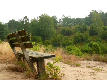 partnerfilm_bosteler_kuhle partnerfilm_bosteler_kuhle