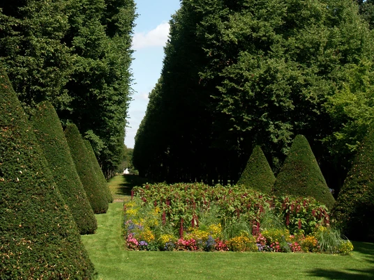 Baumallee im Franz. Garten