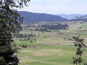 Hochmoor von Rothenthurm