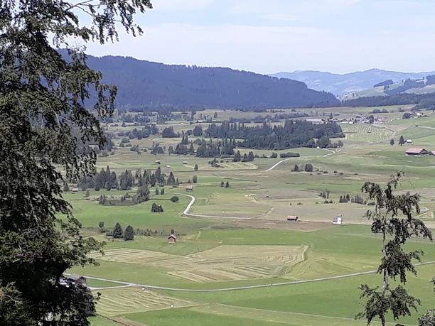 Hochmoor von Rothenthurm