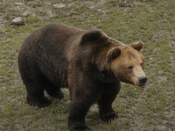Wildpark Knüll