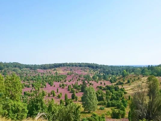 Totengrund 1 Totengrund 1