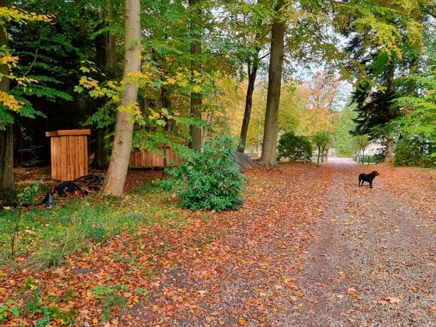 Waldeck-Skov-shelter-2