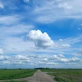 Breddorfer Moor Moor, Weite, Wolken, Weite und MoorMoor, expanse, clouds, expanse and moorHede, vidde, skyer, vidde og hedeMoor, uitgestrektheid, wolken, uitgestrektheid en heide